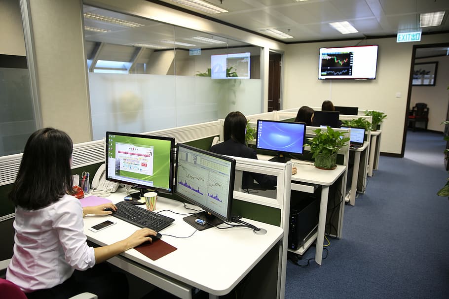 group, people, sitting, front, desk, working, cubicles, business people, the company, office