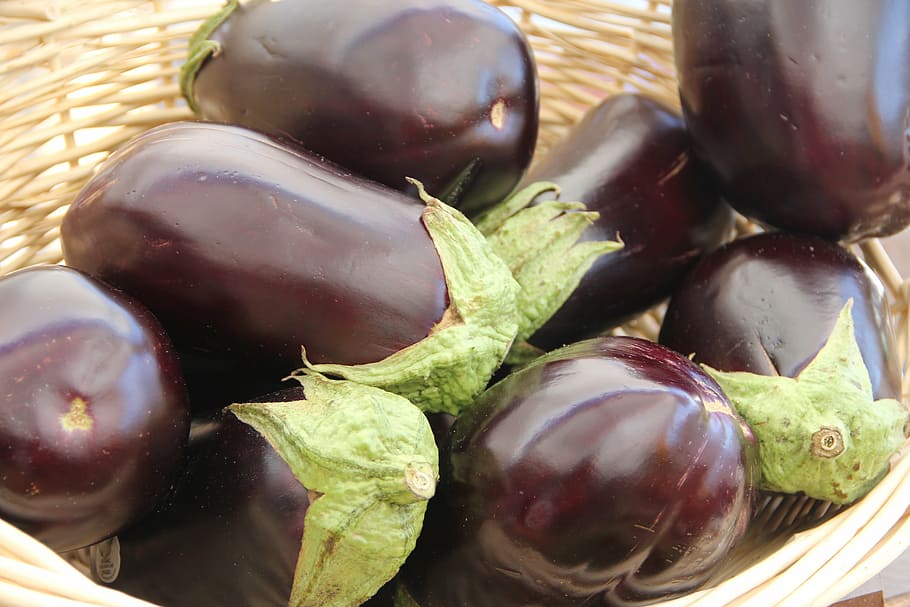 eggplants on basket, eggplant, vegetable, vegetables, organic food, food, ripe, healthy, fresh, diet