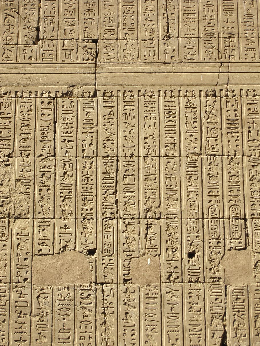 hieroglif Mesir, hieroglif, dinding, mesir, secara historis, karakter, alzaegyptisch, firaun, kuno, sejarah