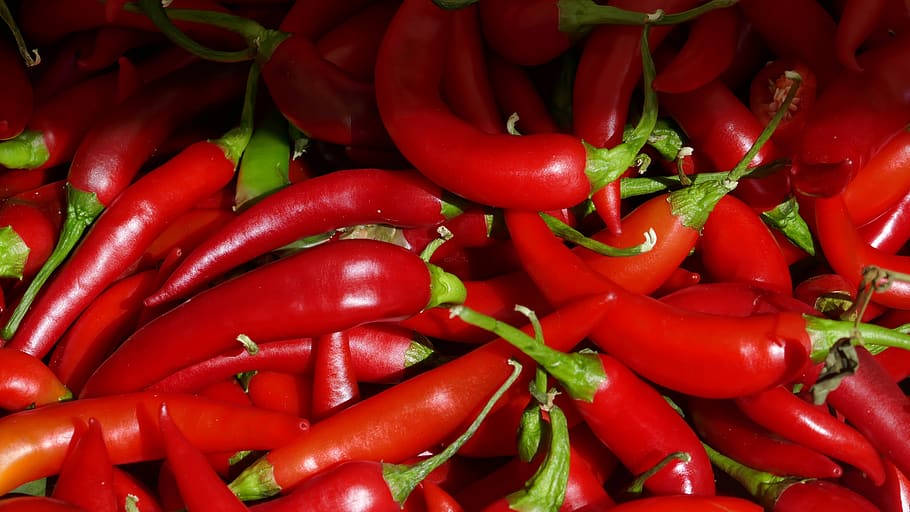 vegetables, chilli, sharp, red, fiery, spice, pods, food, plant, chili peppers