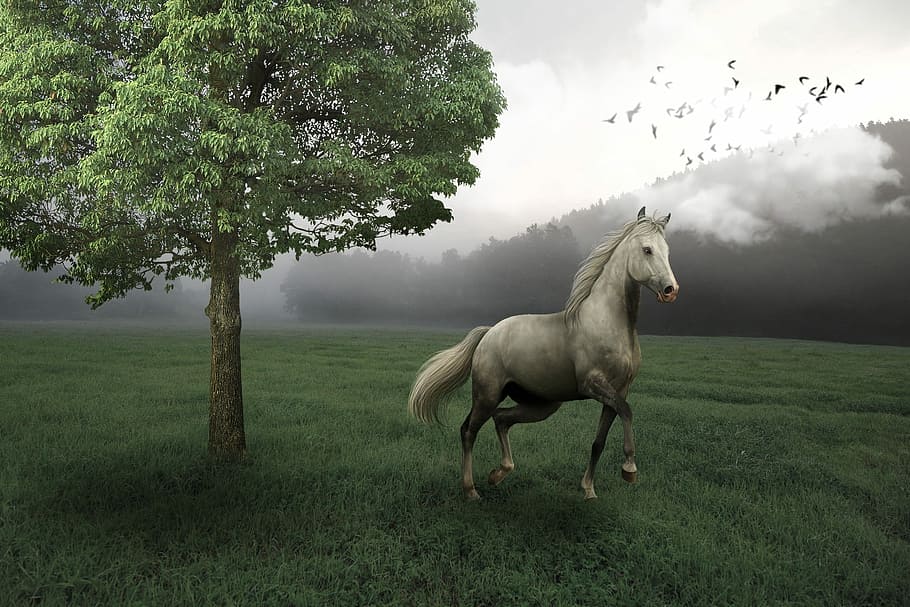 white, horse, running, grass field, tree painting, mammals, haymaking, grass, nature, farm