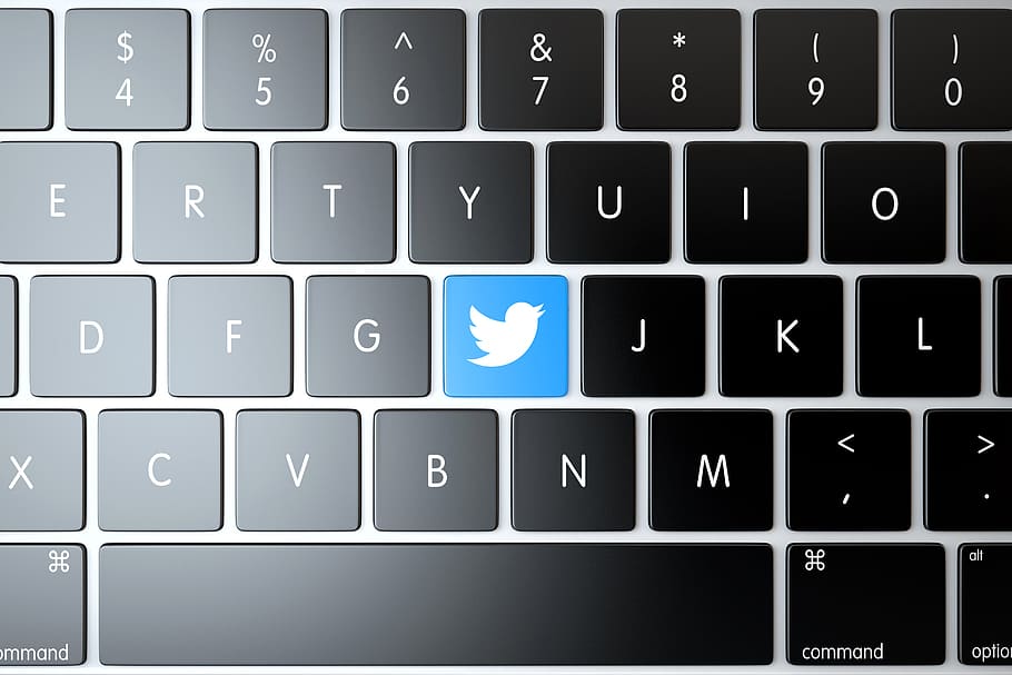 tweets, twitter, dispositivos, editorial, laptop, logotipo, mídia, microblogging, rede, on-line