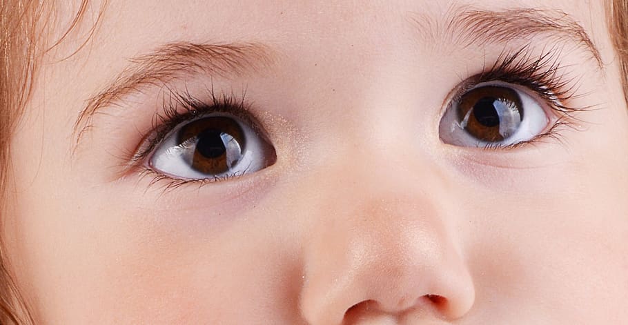 eyes, nose, cilia, skin, a small human, god's creation, daughter, creature, existence, the controversy