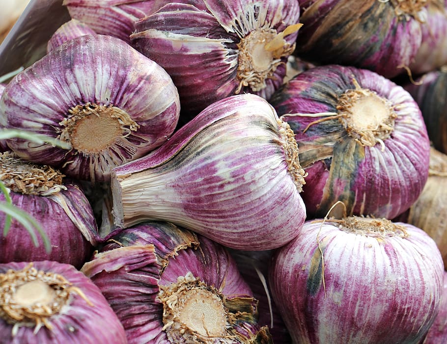 closeup, bunch, purple, onions, Garlic, Red, Food, Eat, red garlic, red, food