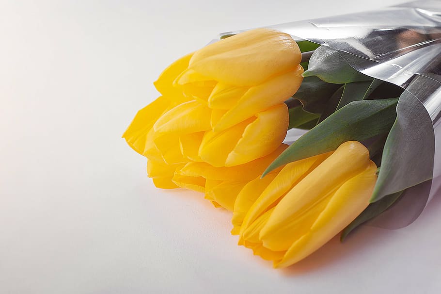 three, yellow, flowers, clear, plastic pack, petal, flower, bouquet, tulip,, food and drink