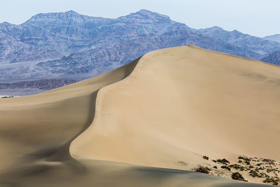 sand dune, desert, sand, sahara, dry, dunes, landscape, hot, nature, dune