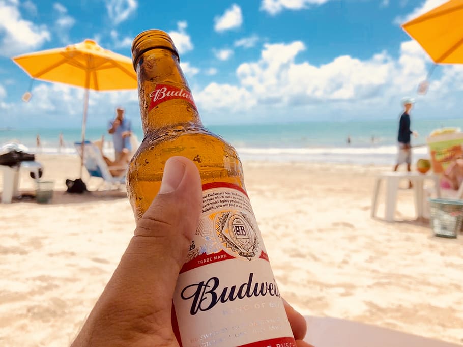 beer, bud, alcohol, bottle, nature, summer, drinks, drink, beach, sol