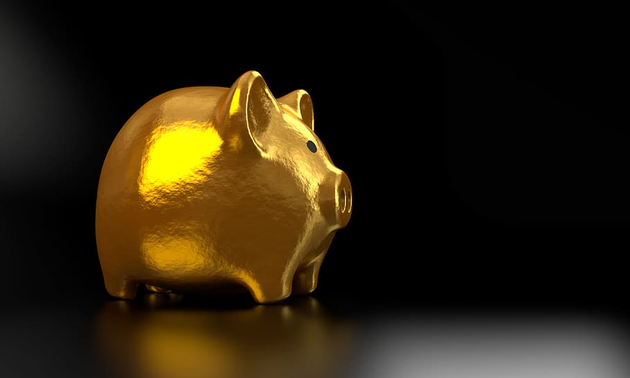 gold piggy bank, piggy, bank, money, finance, business, banking, currency, piggy bank, cash