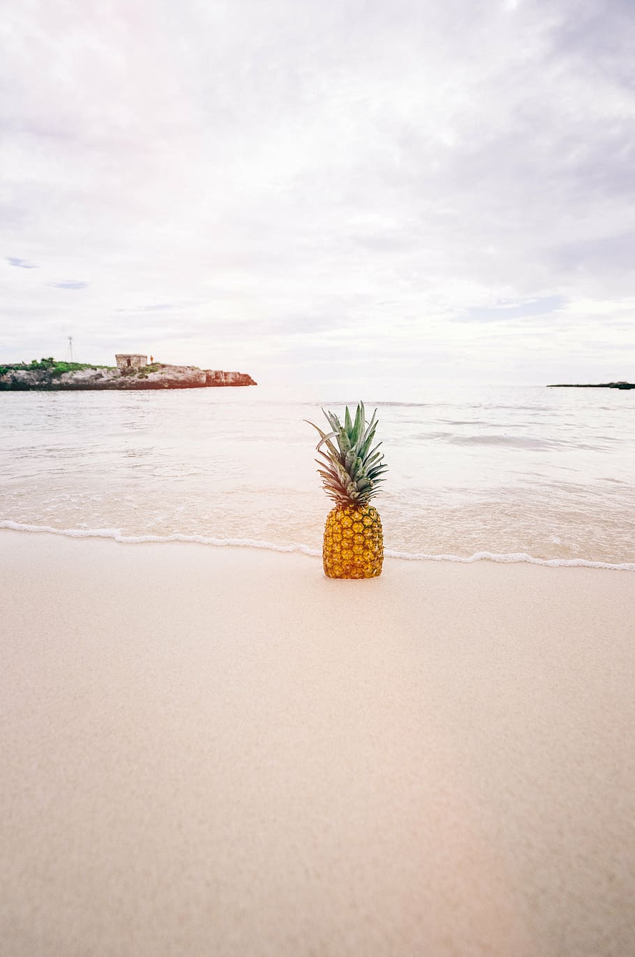 abacaxi na praia, abacaxi, praia, areia, beira-mar, tropical, verão, férias, oceano, mar