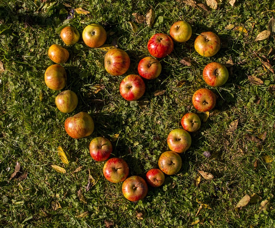 maçãs foring coração, grama, coração, corrida, fruta, amor, comer, comida, coração de maçã, parceria