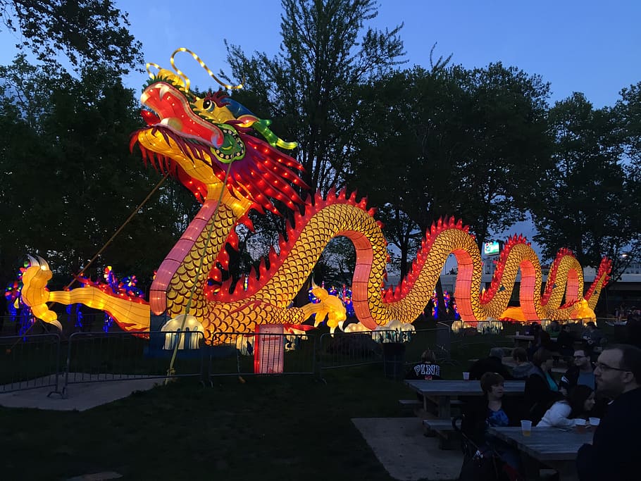 освещенный морской дракон, китайский новый год, китайский, дракон, фестиваль, китай, традиция, культура, дерево, небо