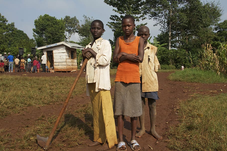 three, boy, standing, white, wooden, shed, africa, uganda, children, hoe