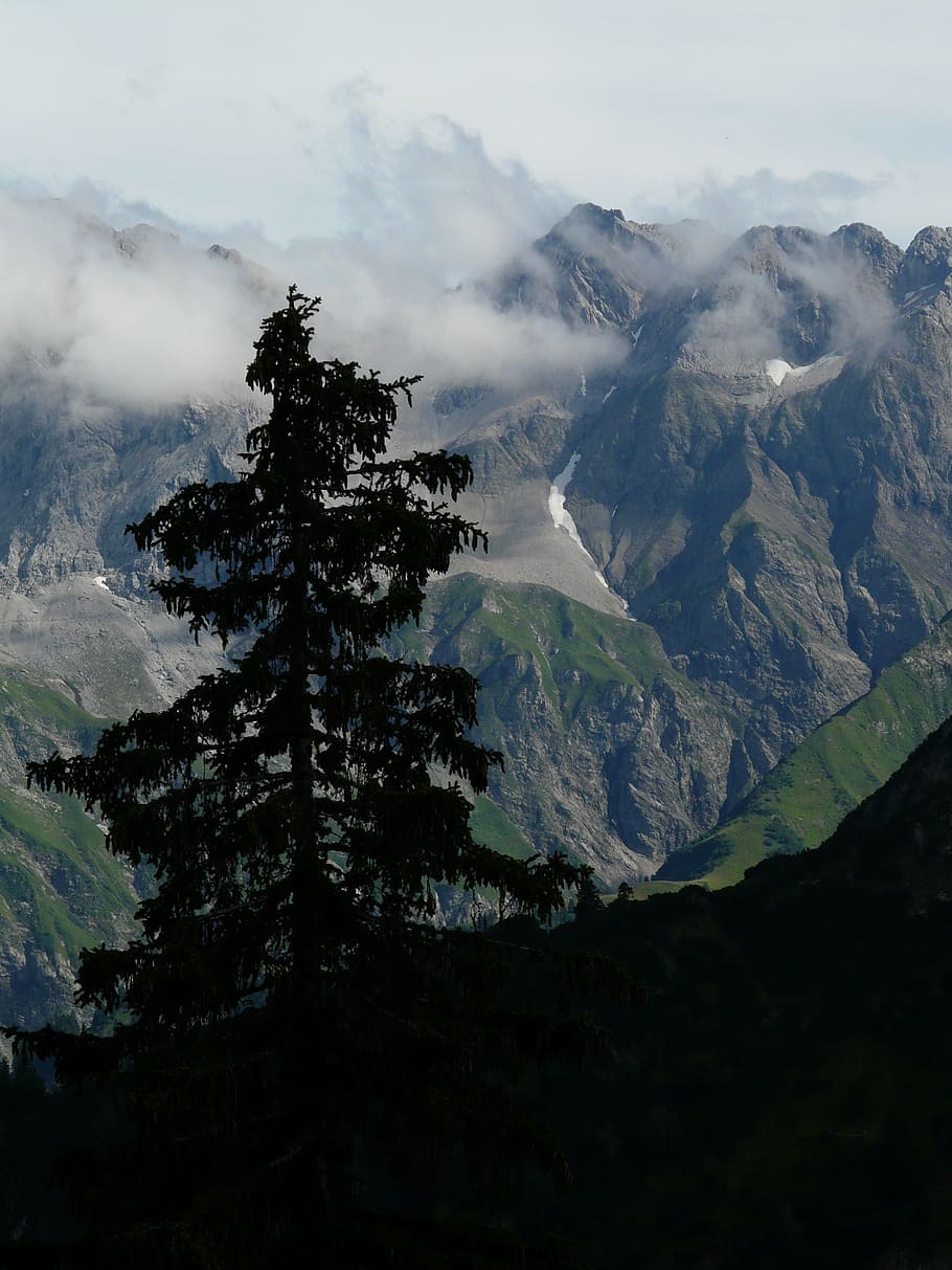 panorama, alpine, mountains, mountain, tree, fir, alpenpanorma, scenics - nature, beauty in nature, tranquil scene