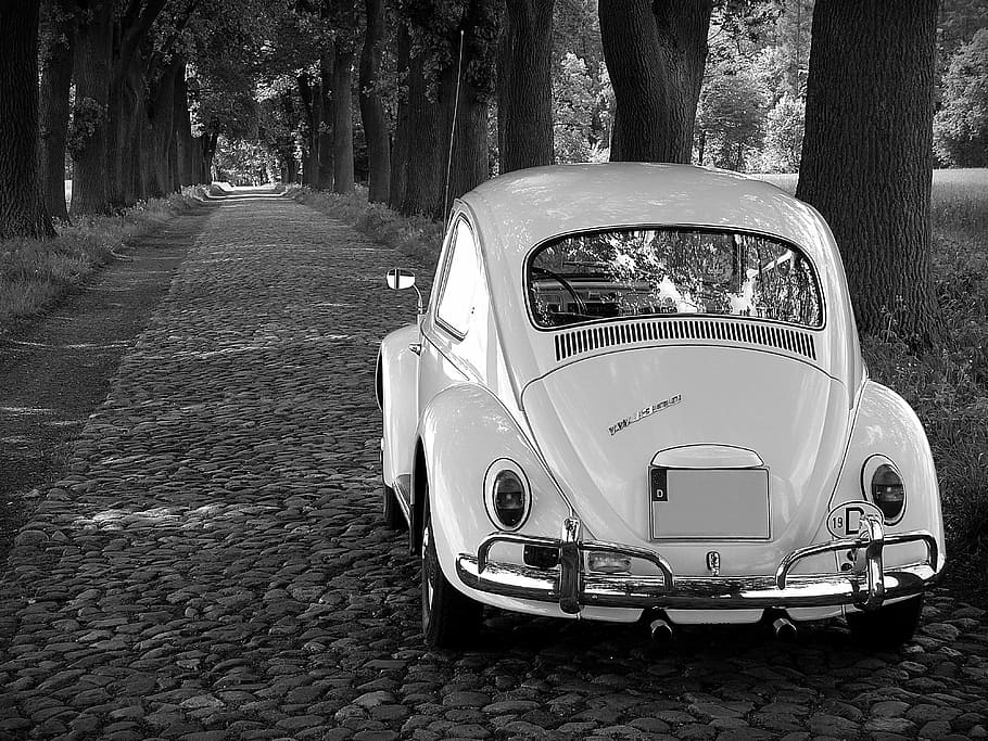 grayscale, photography, volkswagen, beetle, coupe, parked, trees, vw, oldtimer, classic
