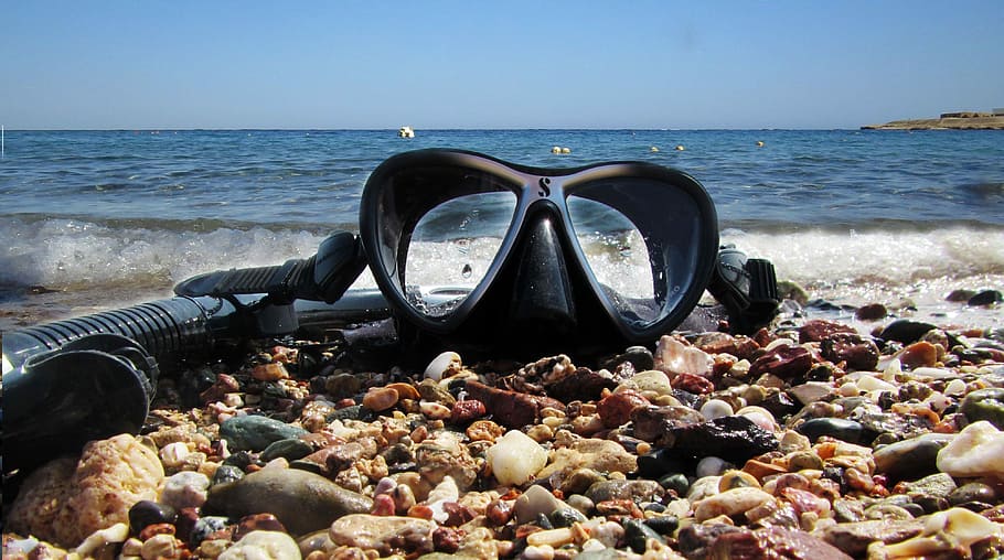 preto, natação, óculos, beira mar, Mergulho, Água, Mar Vermelho, Nadar, Egito, mar