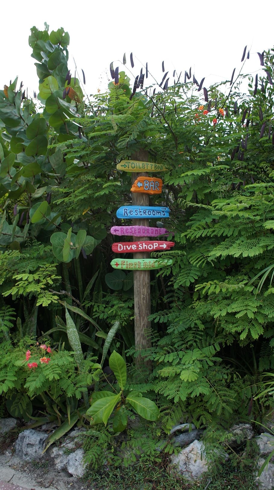 directory, waymarks, arrow, to find, abc islands, curacao, caribbean, netherlands antilles, plant, nature