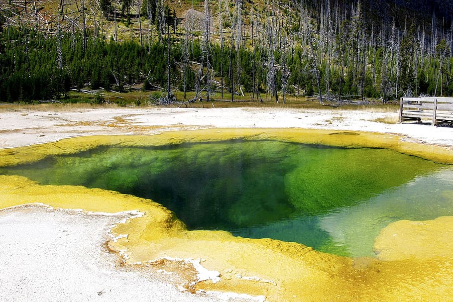 Yellowstone National Park, Usa, whyoming, tourist attraction, nature, landscape, scenery, minerals, green, pond