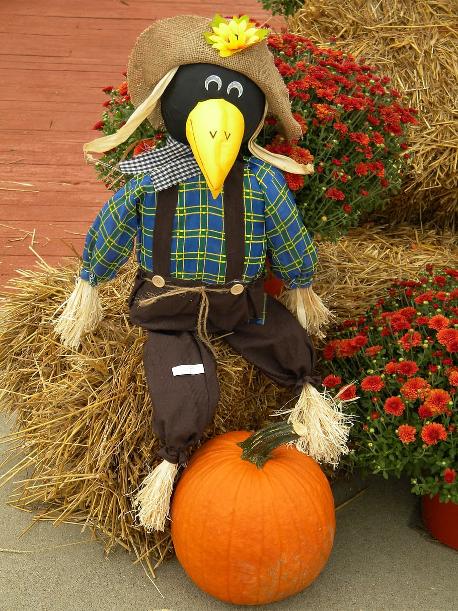 scarecrow, fall, autumn, seasonal, harvest, pumpkin, decoration, holiday, straw, scare