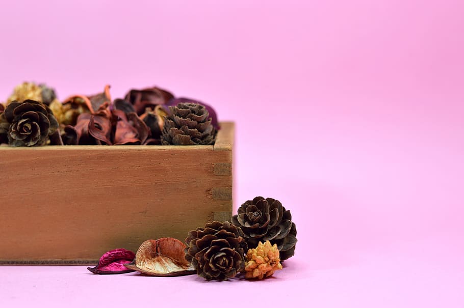 potpourri, dry, dehydrated, aroma, aromatic, autumn, dry leaf, dry branches, floral center, flowers