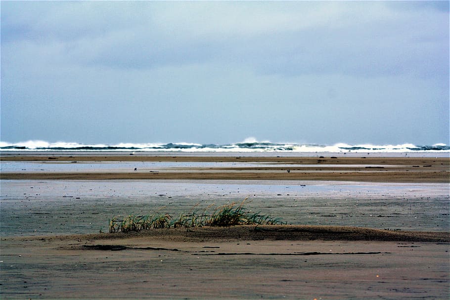 borkum, frisia oriental, mar del norte, reflujo, olas de surf, el blanke hans, playa de arena, mar, marea, agua