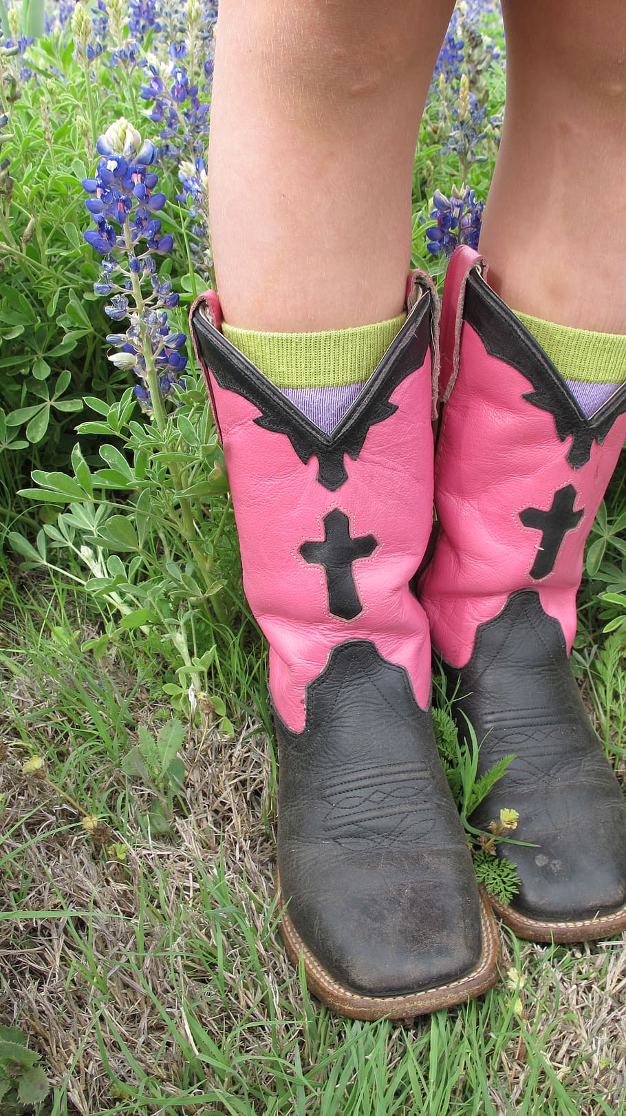 boots, cowgirl, bluebonnets, western, cowboy boots, plant, real people, human leg, human body part, low section