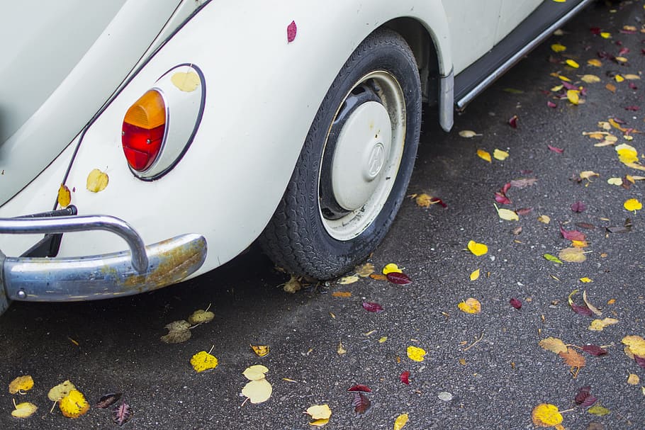 hojas, coche, hoja, verde, símbolo, volkswagen, otoño, vibraciones, vintage, blanco