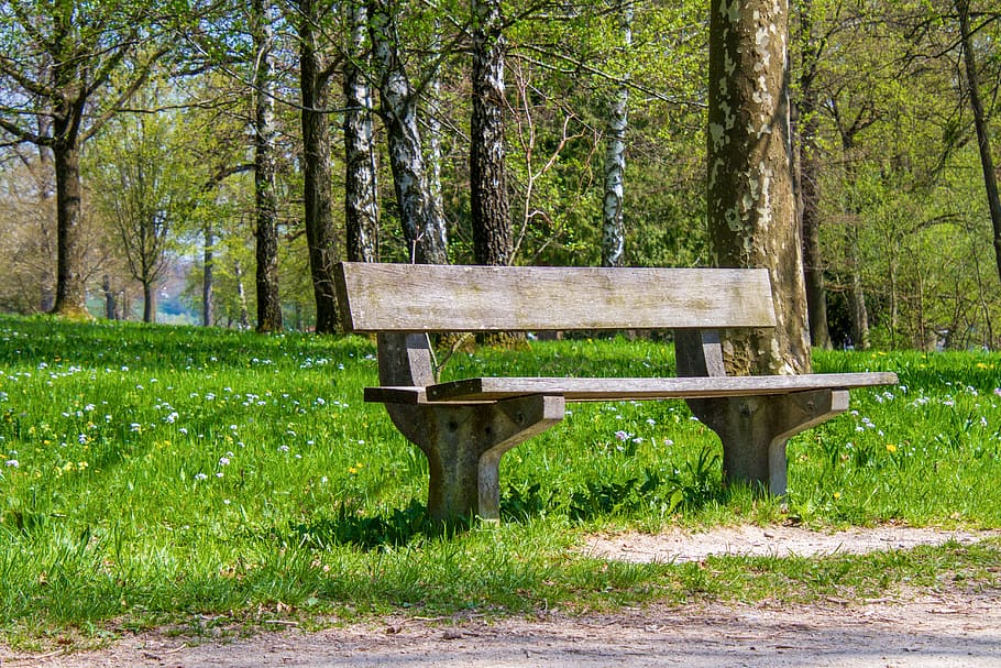 bank, park, wooden bench, park bench, sit, nature, meadow, trees, relaxation, recovery