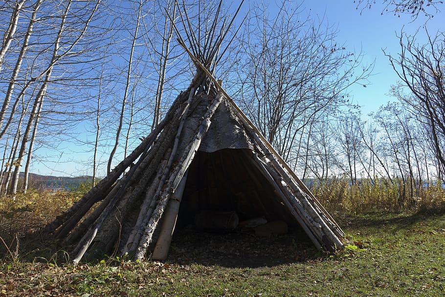 cabana, feito, madeiras, tenda, indiano, casca de bétula, americano, nativo, cultura, barraca