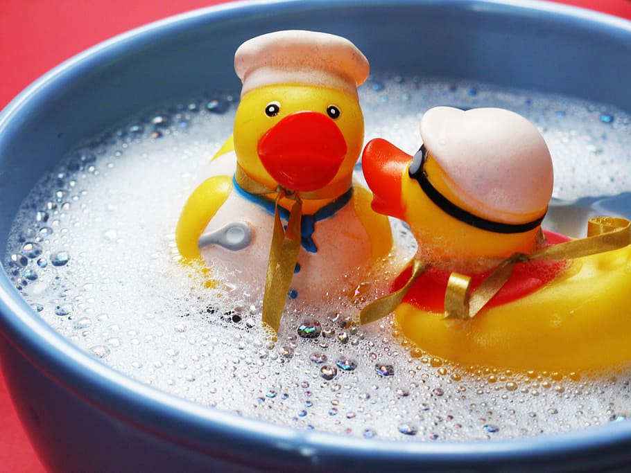 two, yellow, duckling plastic toys, bowl, bath, splashing, ducks, joy, friends, happy