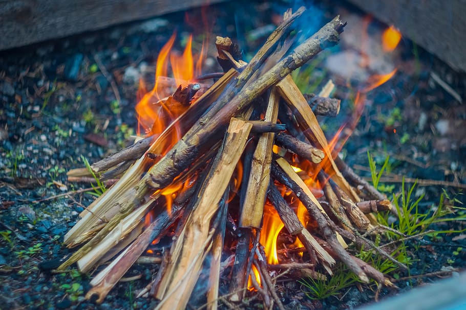 fire, recreation, nature, burning, flame, fire - natural phenomenon, heat - temperature, bonfire, log, wood - material