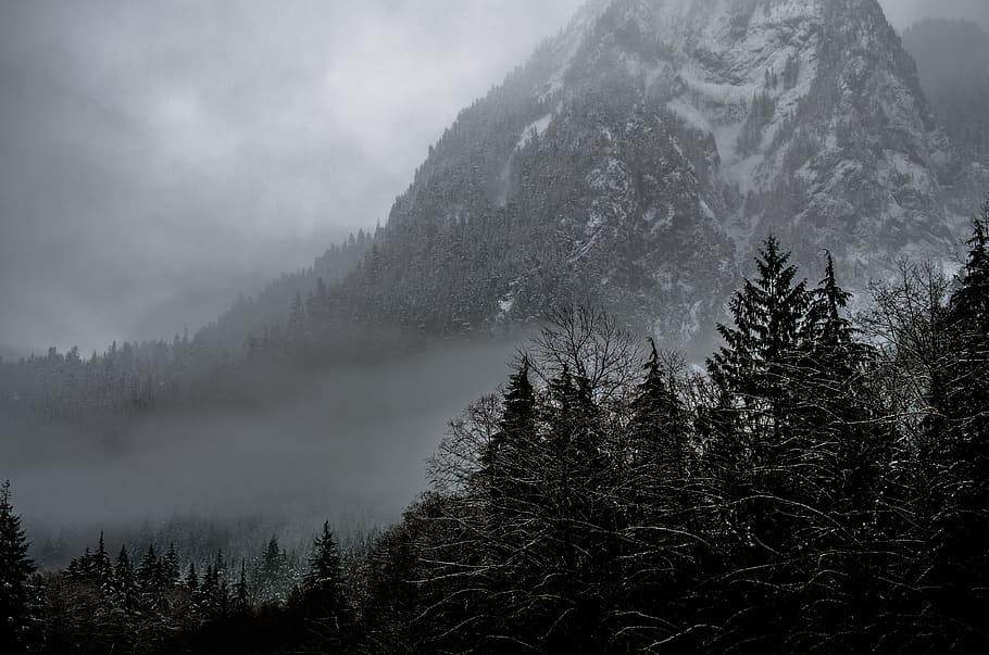 nature, landscape, mountains, summit, peaks, forests, trees, fog, clouds, snow