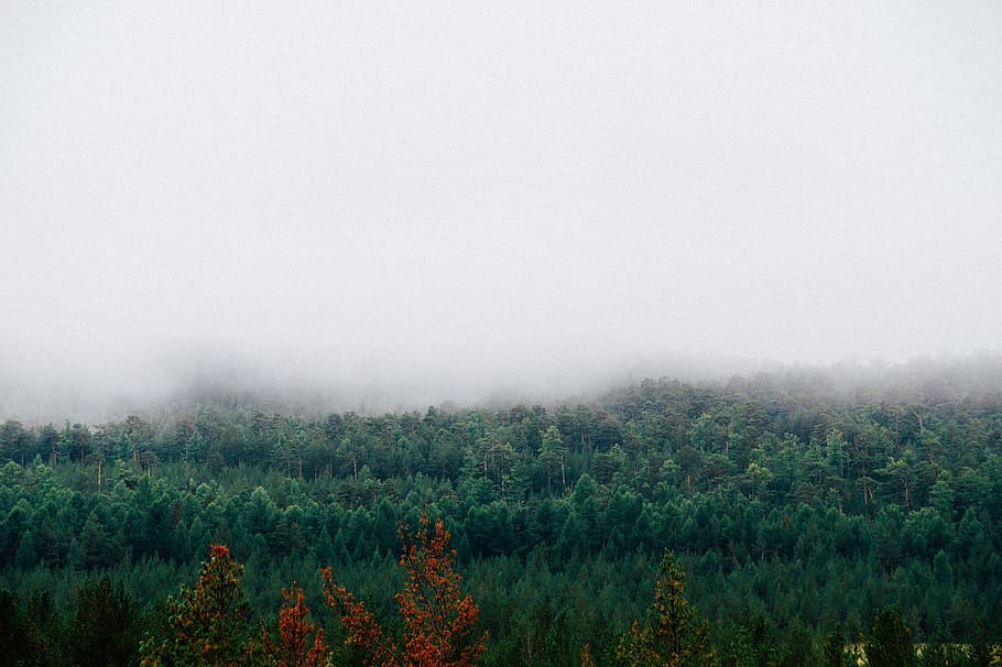 fog, mountains, forest, autumn, cottage, clouds, landscape, trips, countryside, kazakhstan