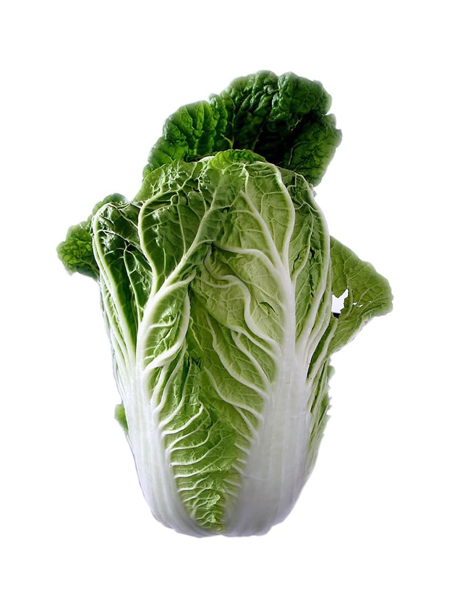 chinese cabbage, salad, leaf lettuce, vitamins, healthy, food, eat, edible, studio shot, food and drink