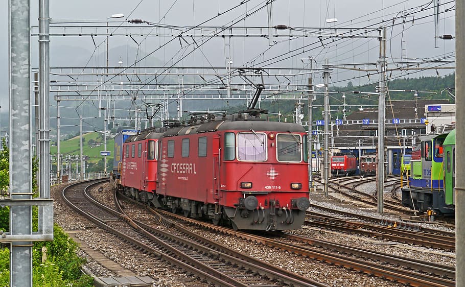 switzerland, railway, railway station spiez, depot bls, electric locomotive, double traction, freight train, rolling road, lötschberg, descent