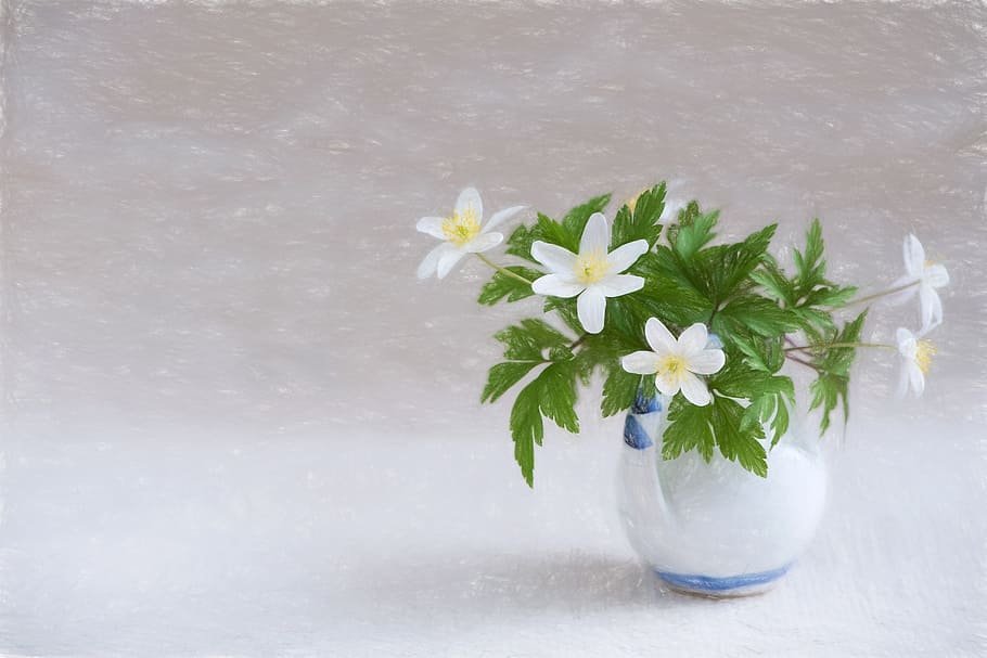 blanco, flores, verde, hojas, claro, florero de vidrio, dibujo, flor,  florero, flores blancas | Pxfuel