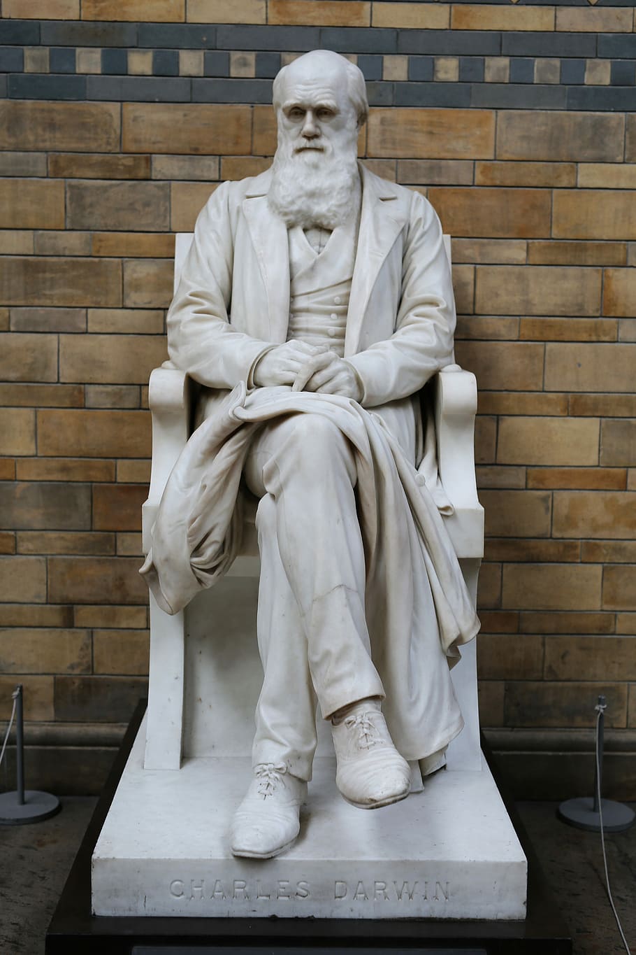 Charles Darwin, Darwin, museo, Londres, museo de historia natural, charles, estatua, escultura, lugar famoso, mármol