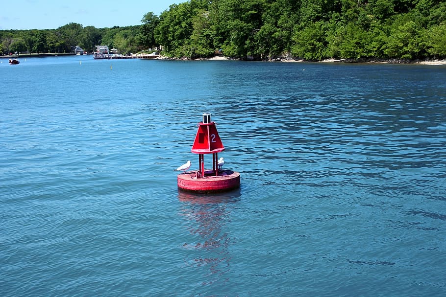 buoy, island, float, water, blue, ripple, calm water, seagull, day, waterfront