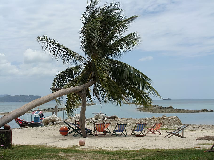 thailand, koh samui, island, beach, palm trees, sea, holiday, asia, water, coast