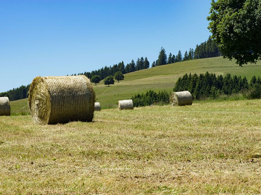 fields, fever, spring, field, agriculture, straw, prairie, germany, hay, bale