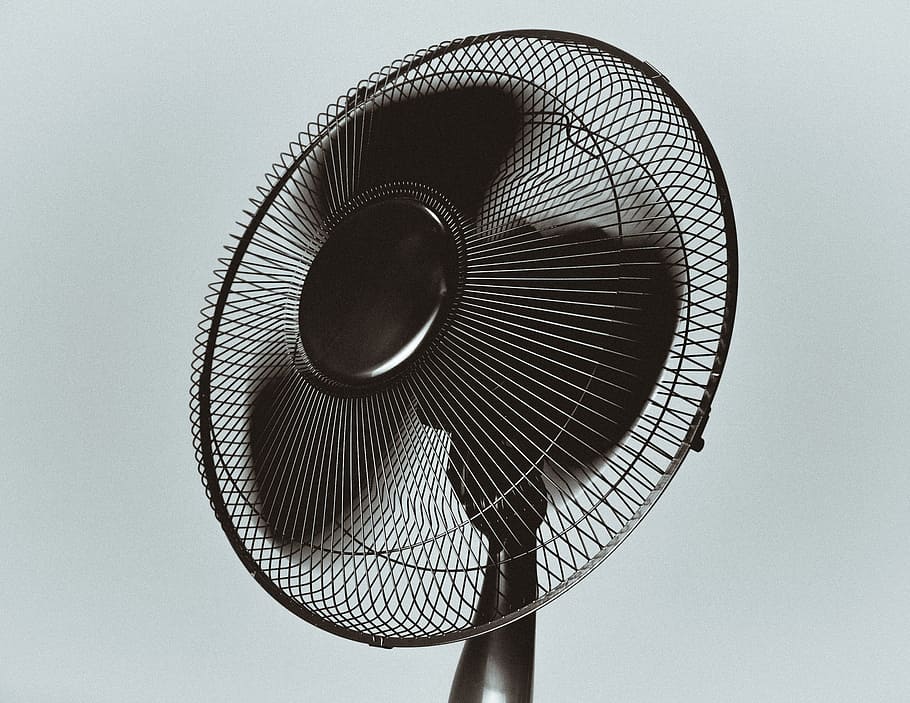 turned-on, black, 3-blade, 3- blade fan, fan, air, electric fan, studio shot, low angle view, white background