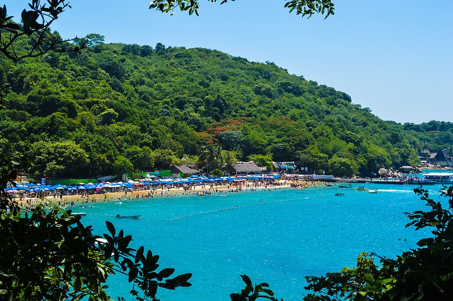 praia roqueta, acapulco, méxico, paraíso, praia, ensolarado, pôr do sol, árvore, agua, plantar