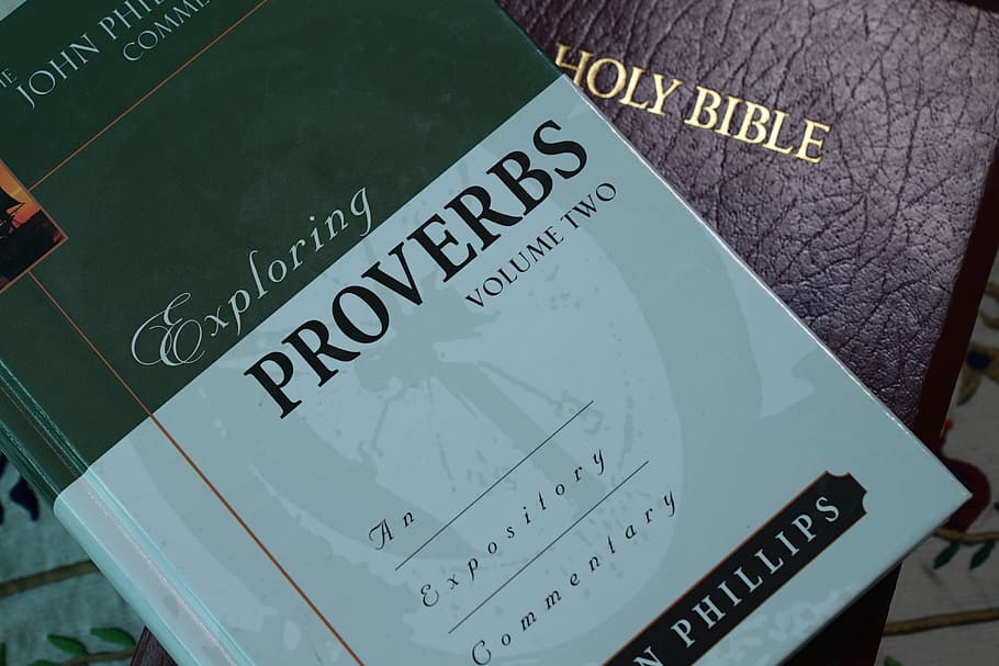 bible, proverbs, scripture, christianity, open book, holy, light, text, western script, communication