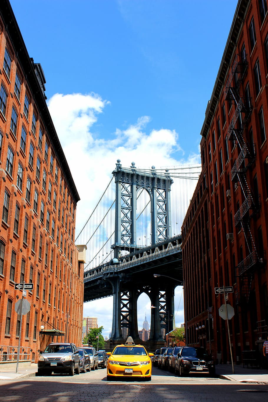 golden, bridge illustration, golden bridge, illustration, bridge, city, building, new York City, manhattan - New York City, uSA