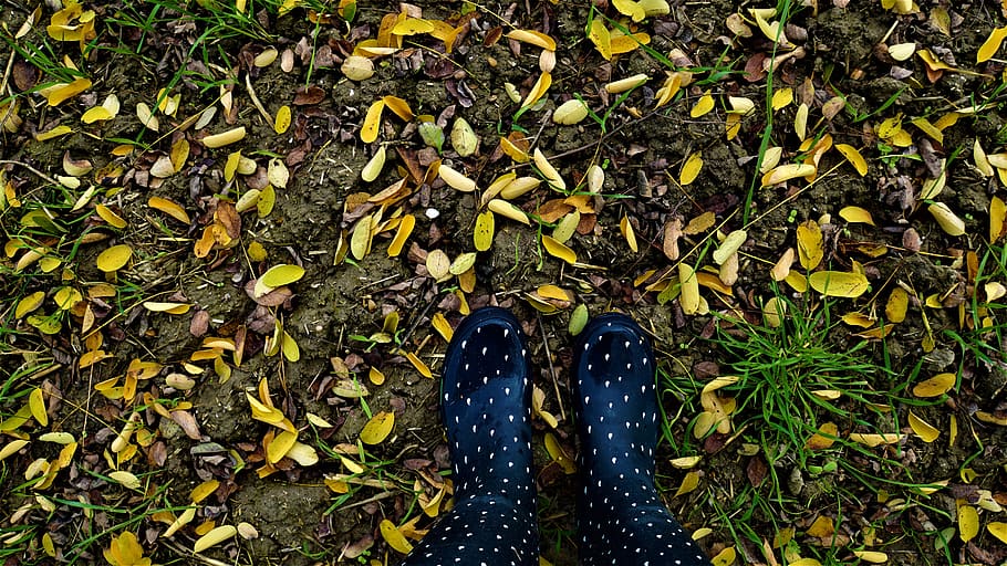 plano de fundo, outono, botas de borracha, caos, folhas, colorido, amarelo, verde, branco azul, marrom
