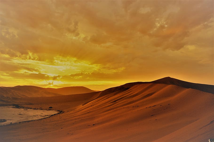 sahara desert, golden, hour, sunrise, desert, sand, sand dune, dunes, clouds, morgenstimmung