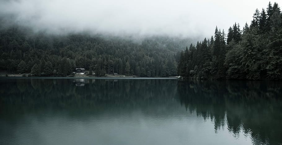body, water, cloudy, sky, body of water, nature, lake, tree, landscape, forest