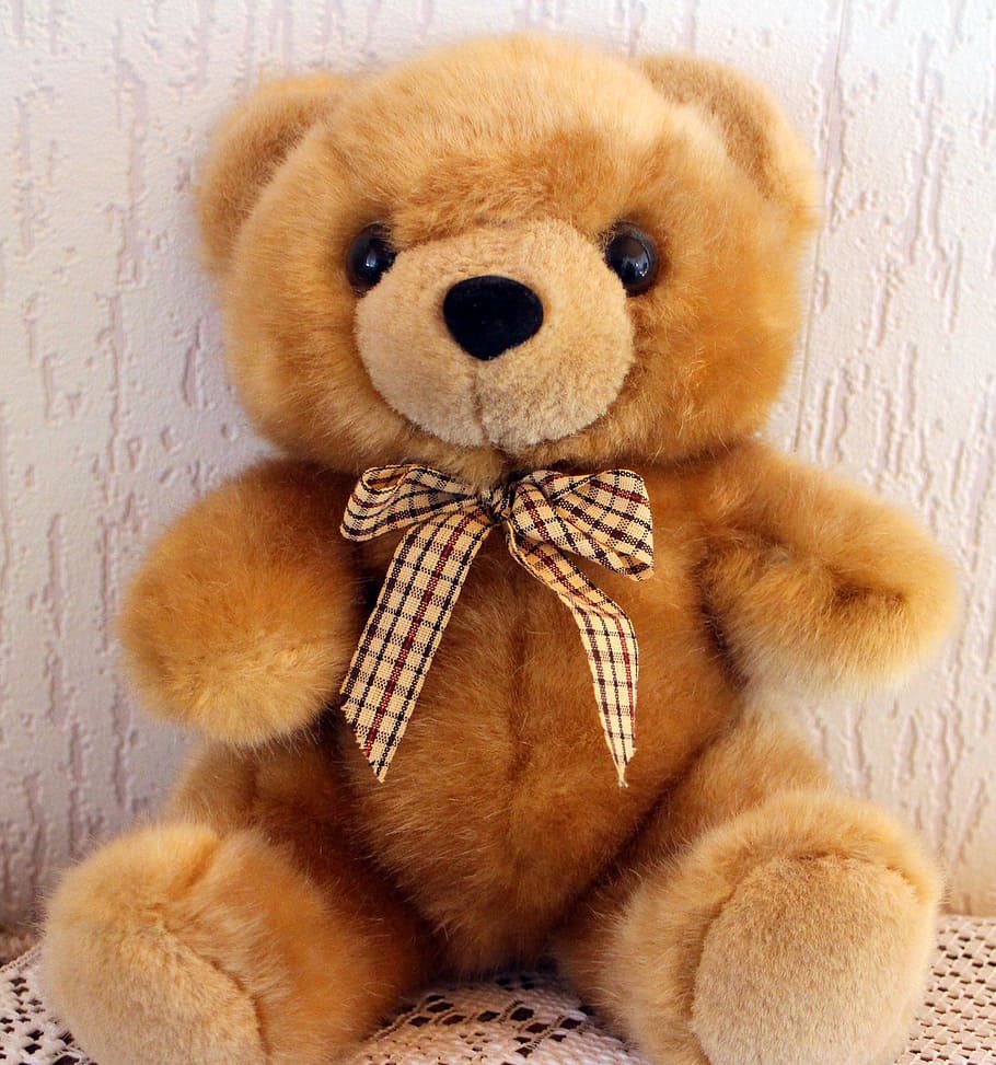 brown teddy bear, teddy, bear, teddy bear, bears, soft toy, cute, children toys, stuffed animal, purry