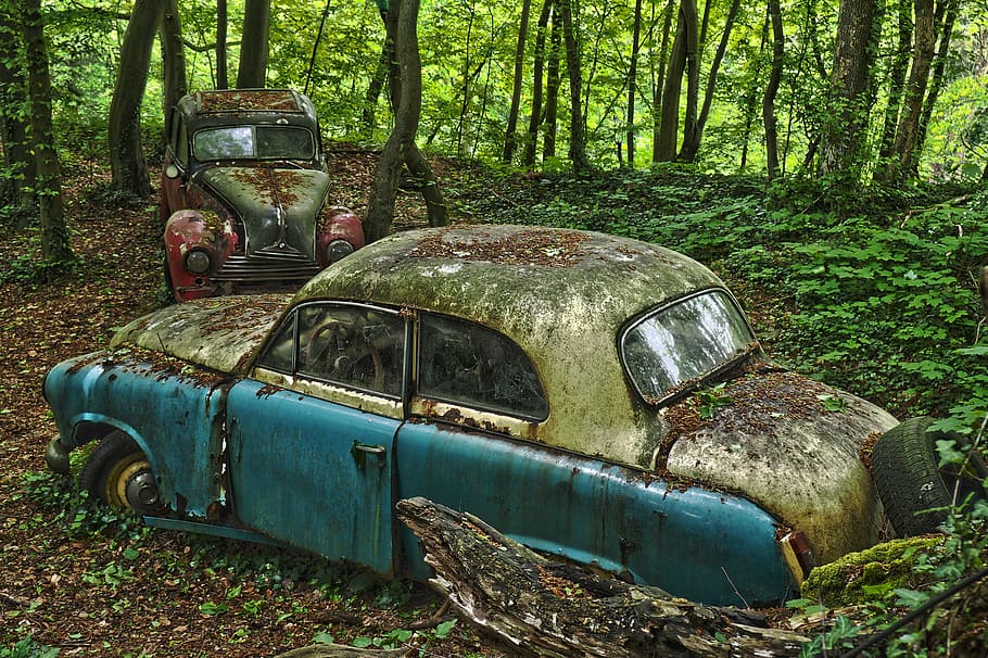 dos, destrozado, automóviles, rodeado, árboles, auto, cementerio de automóviles, viejo contador de tiempo, viejo, óxido