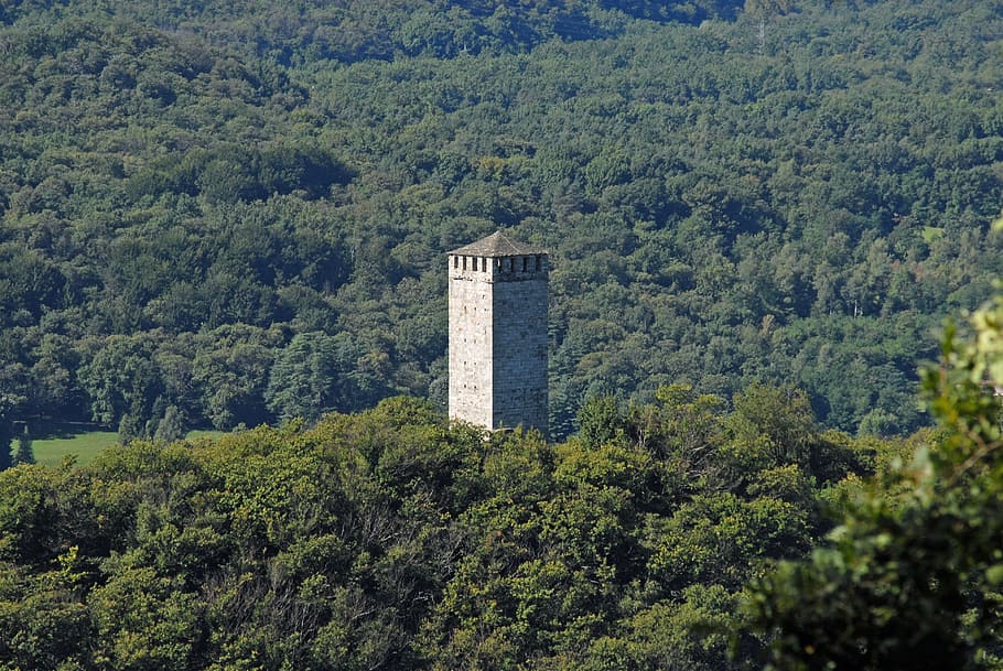 タワーブッチョーネ ブッチョーネの塔 イタリア オルタ湖 木 植物 緑の色 造られた構造 建築 成長 Pxfuel
