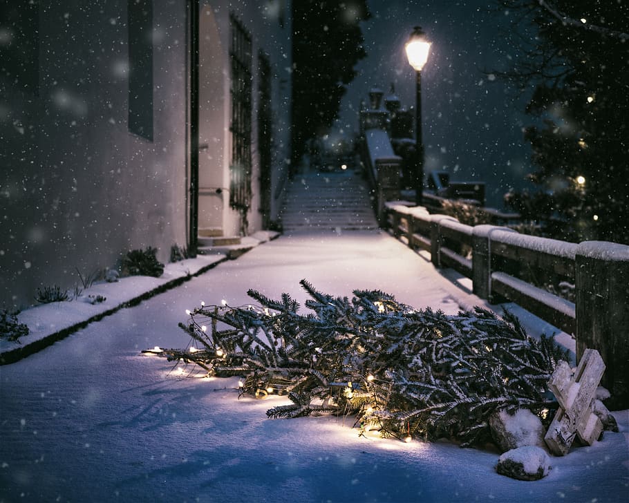 snow, winter, lights, trees, spruce, street, night, snowing, fence, christmas
